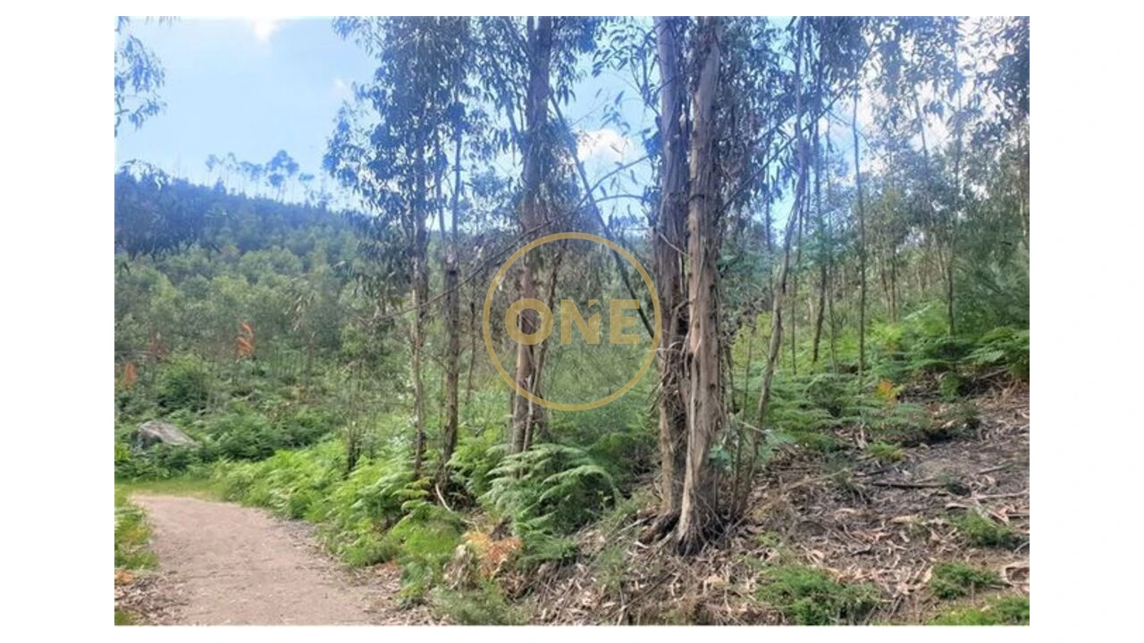 Terreno para Venda em Vale (São Martinho) Foto 1