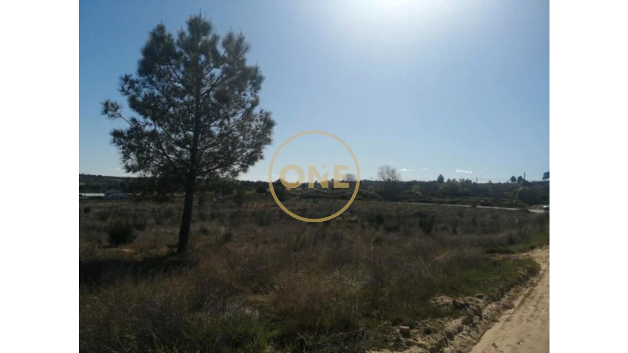 Terreno para Venda em Mêda, Outeiro de Gatos e Fonte Longa Foto 4