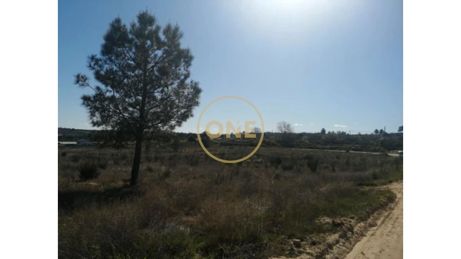 Terreno para Venda em Mêda, Outeiro de Gatos e Fonte Longa Foto 4