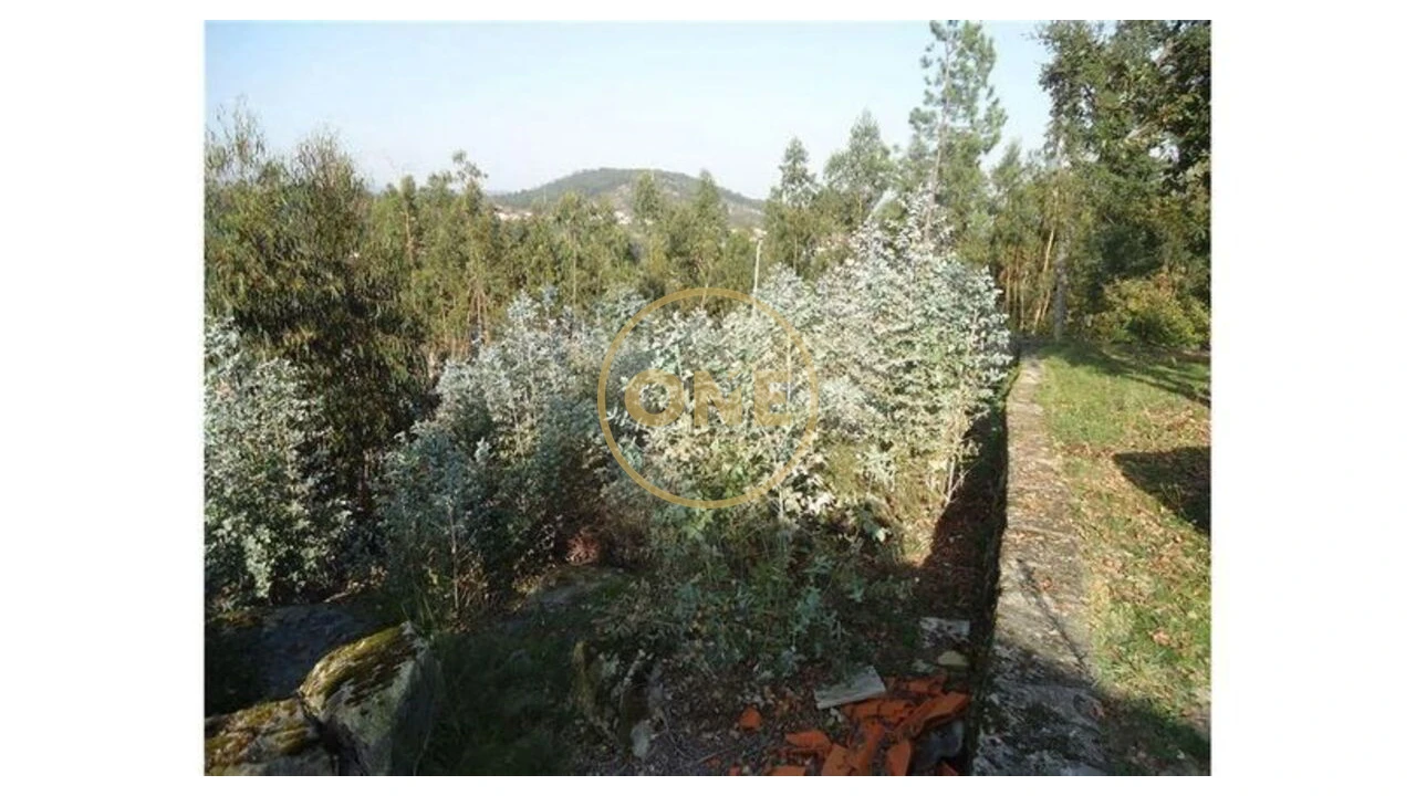 Terreno para Venda em Oliveira (Santa Maria) Foto 1