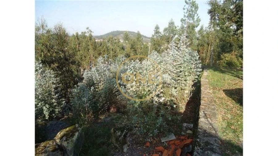 Terreno para Venda em Oliveira (Santa Maria) Foto 1