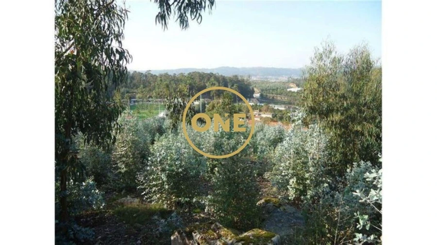 Terreno para Venda em Oliveira (Santa Maria) Foto 5