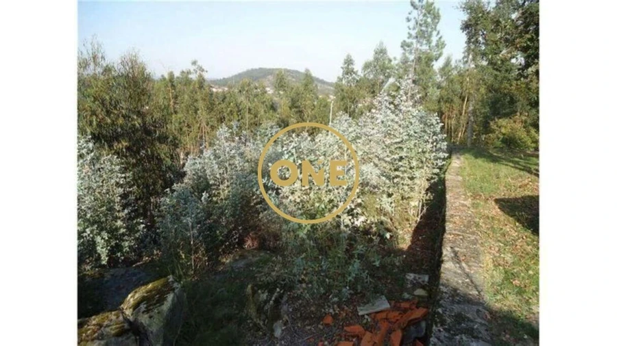 Terreno para Venda em Oliveira (Santa Maria) Foto 2