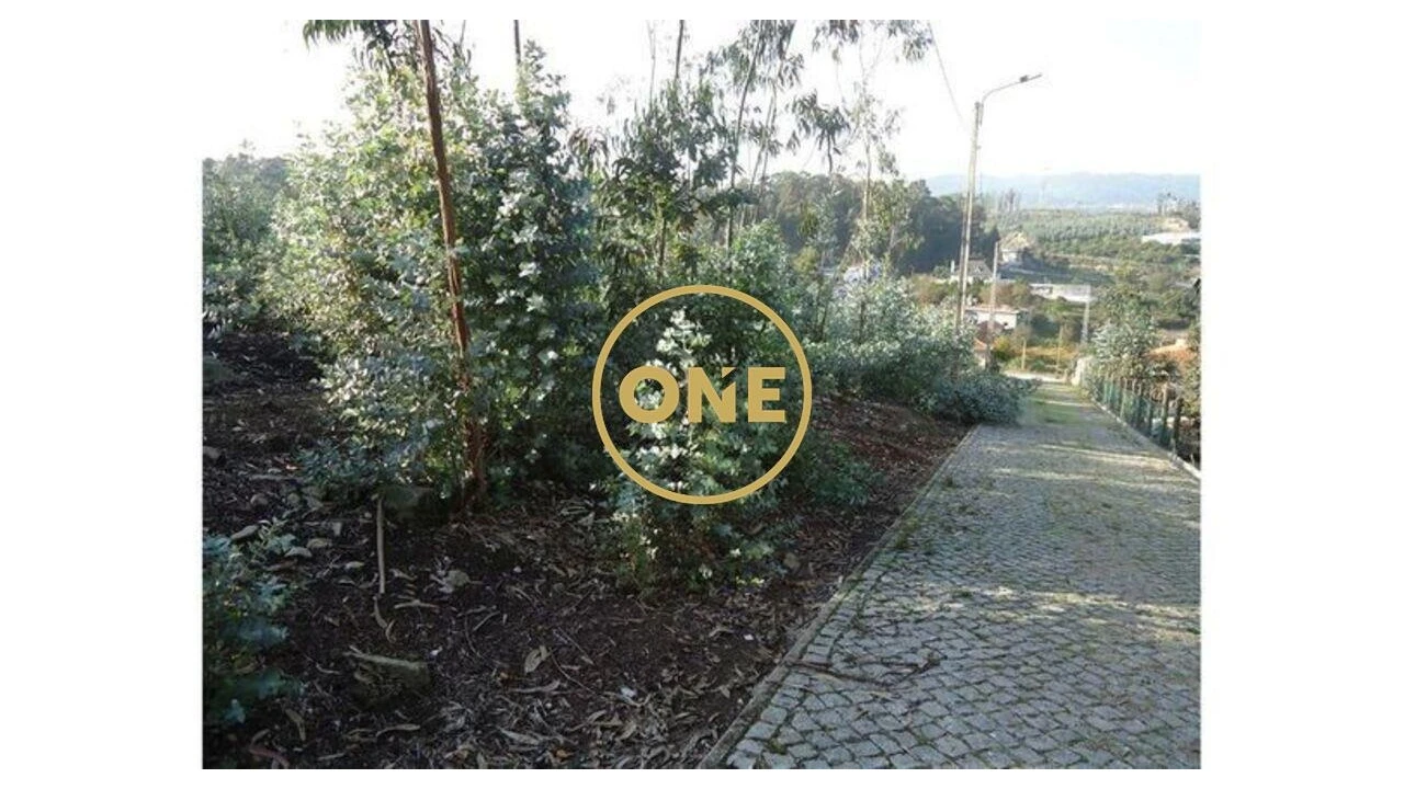 Terreno para Venda em Oliveira (Santa Maria) Foto 3