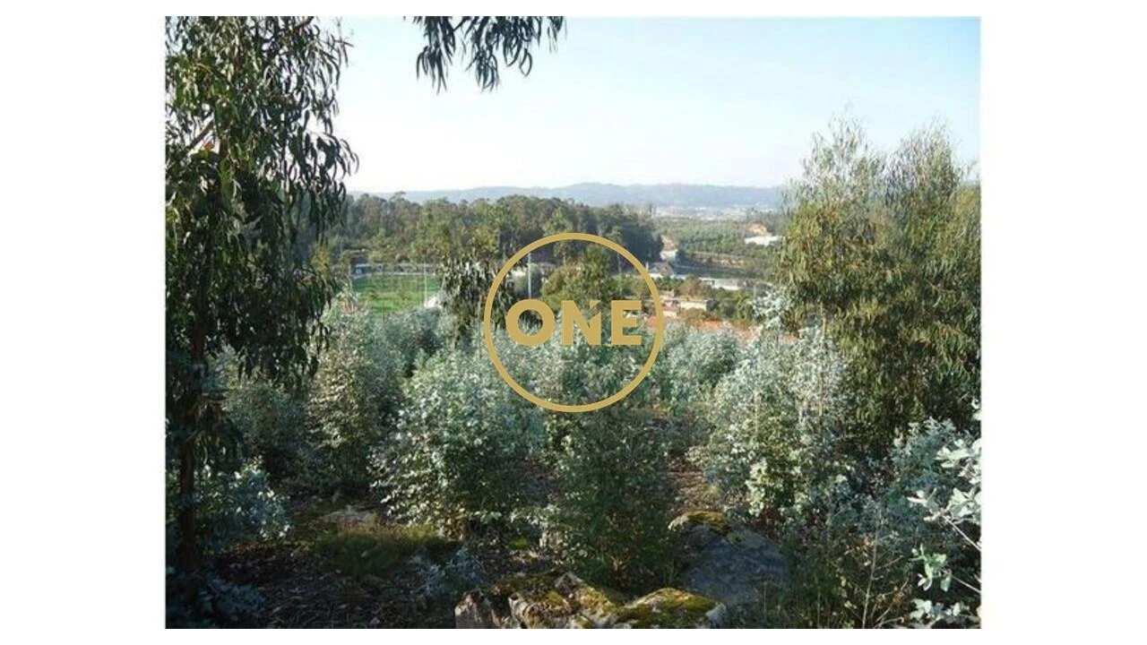 Terreno para Venda em Oliveira (Santa Maria) Foto 5