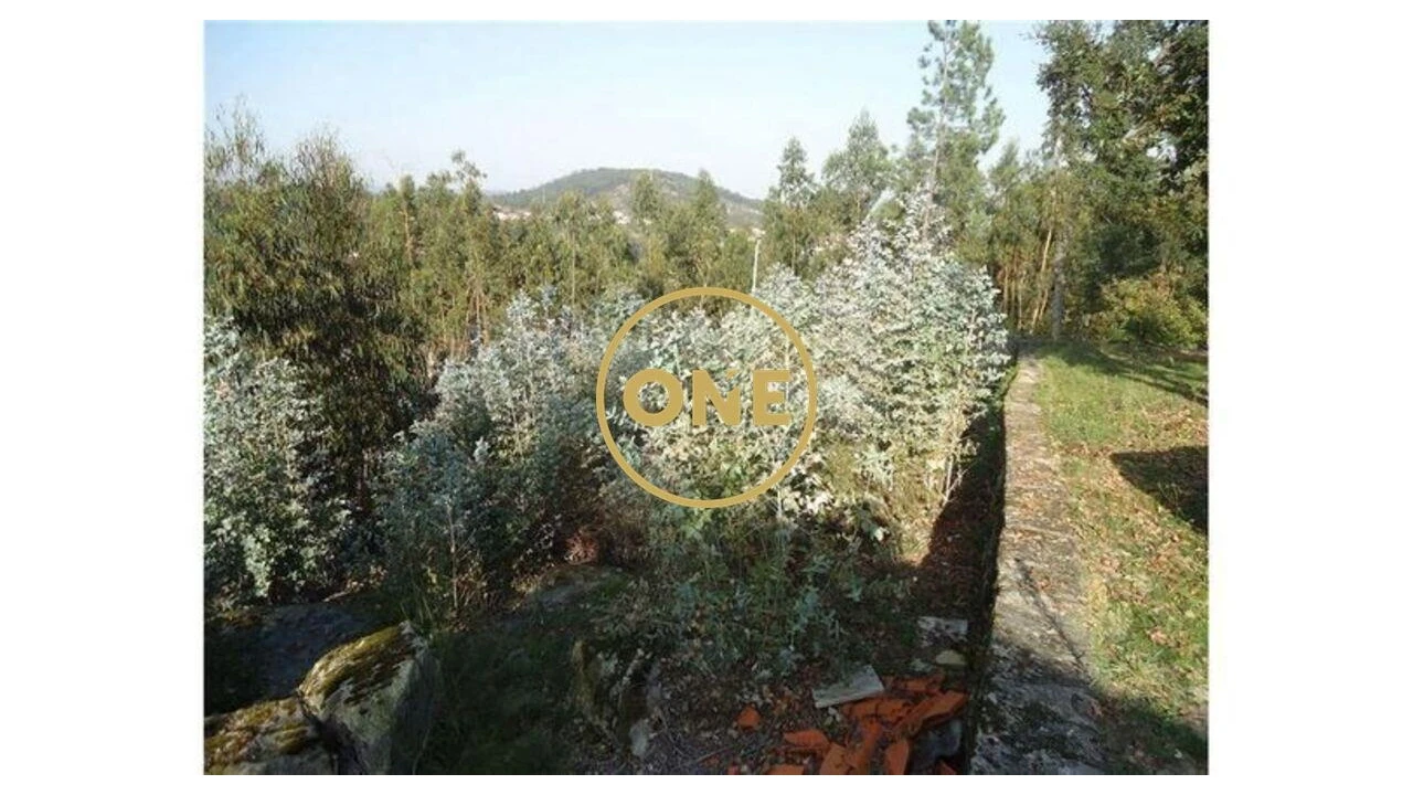 Terreno para Venda em Oliveira (Santa Maria) Foto 2