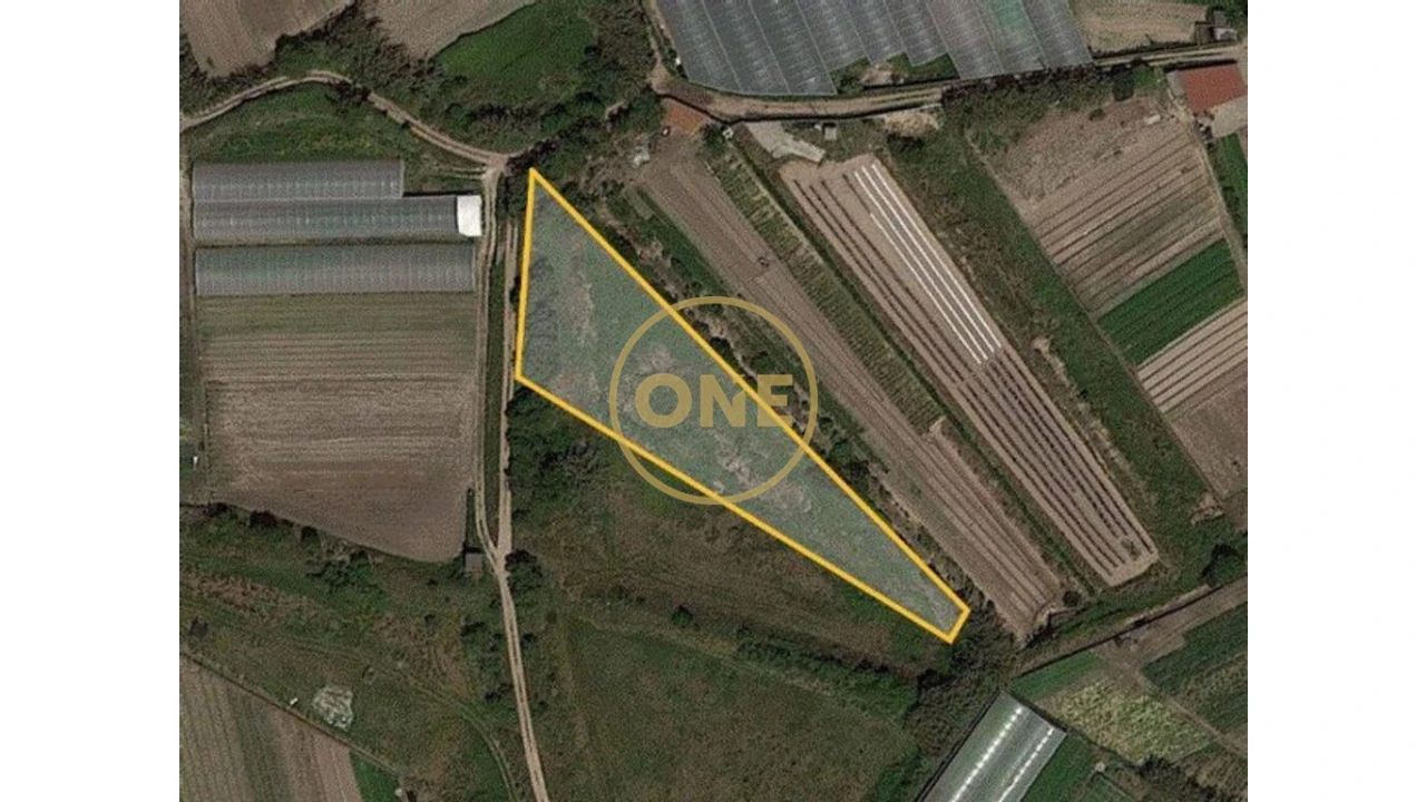 Terreno para Venda em Aguçadoura e Navais Foto 2