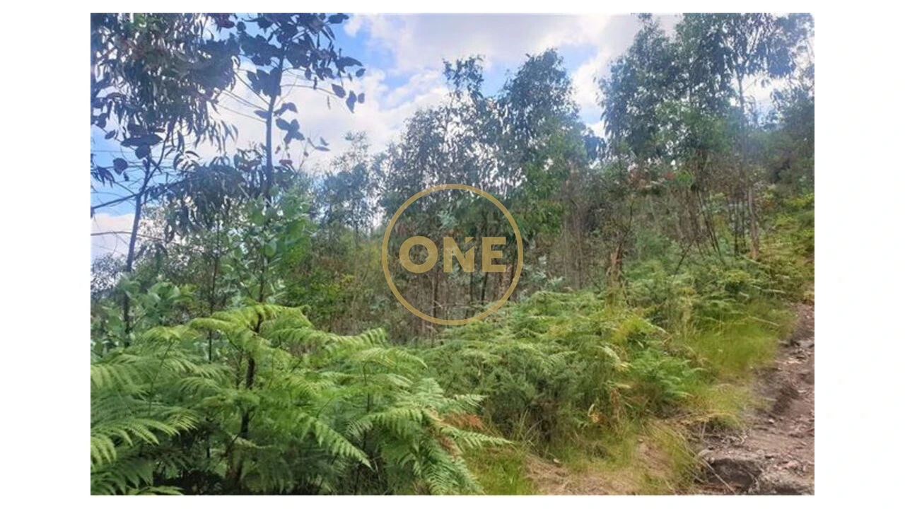 Terreno para Venda em Vale (São Martinho) Foto 1