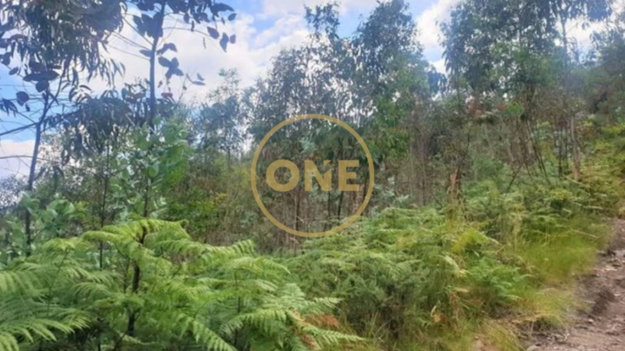 Terreno para Venda em Vale (São Martinho)