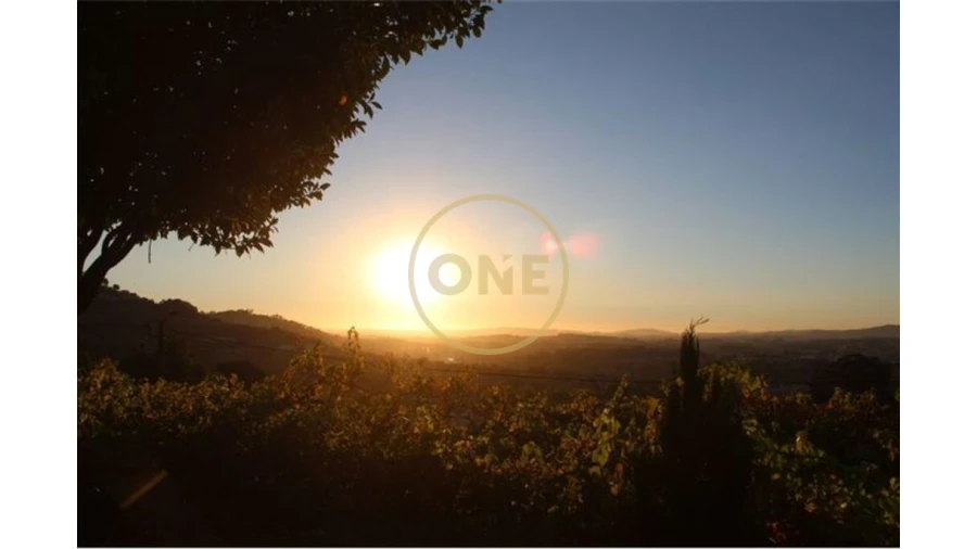 Quinta T4 para Venda em São Tomé de Negrelos Foto 24