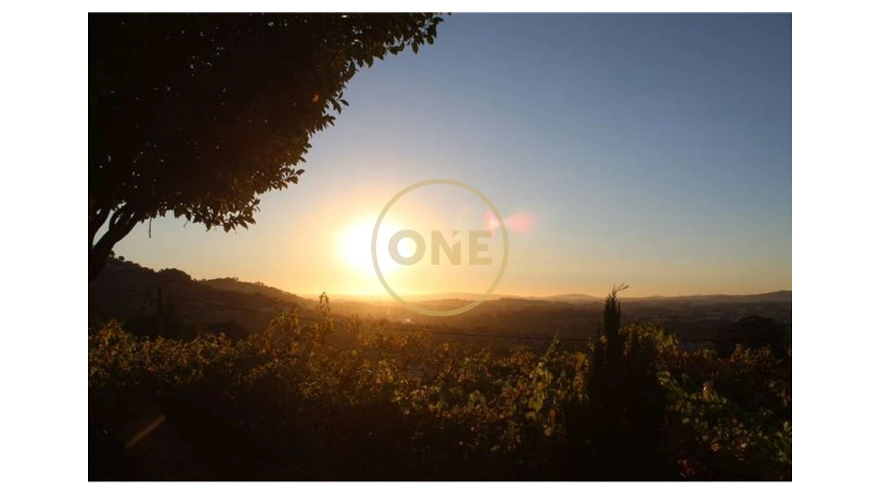 Quinta T4 para Venda em São Tomé de Negrelos Foto 24