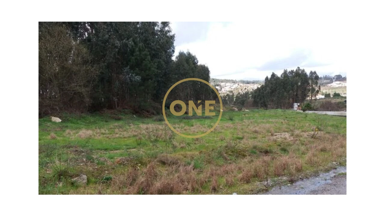 Terreno para Venda em Vila Nova do Campo Foto 2