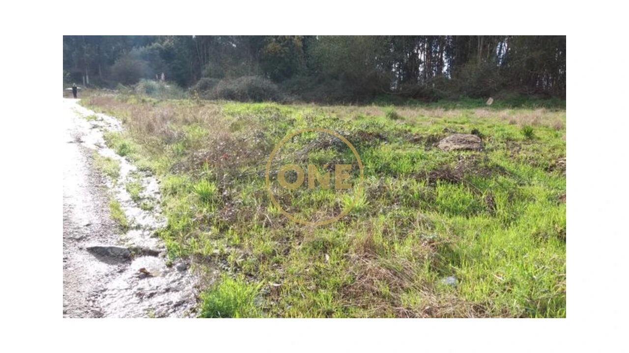 Terreno para Venda em Vila Nova do Campo Foto 4