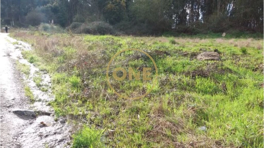 Terreno para Venda em Vila Nova do Campo Foto 4