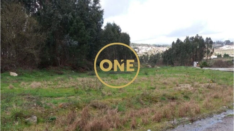 Terreno para Venda em Vila Nova do Campo Foto 5