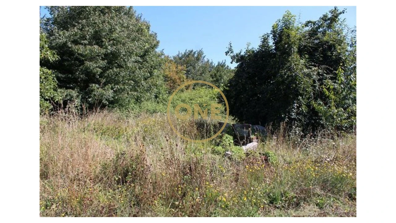 Terreno para Venda em Landim Foto 3