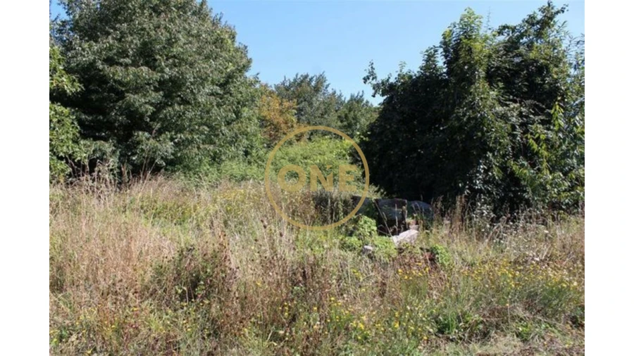 Terreno para Venda em Landim Foto 3