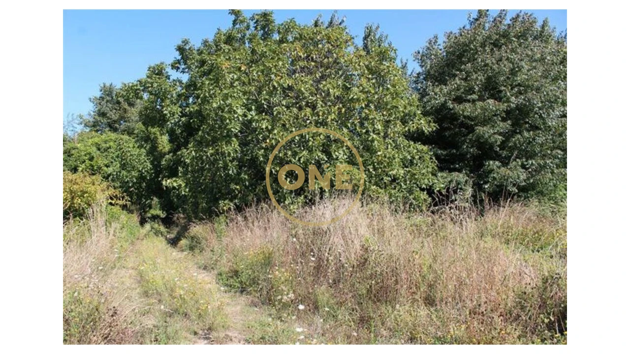 Terreno para Venda em Landim Foto 1