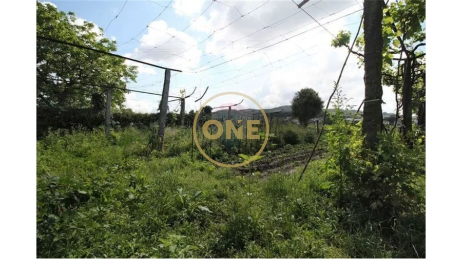 Moradia T6 para Venda em Ruivães e Novais Foto 13