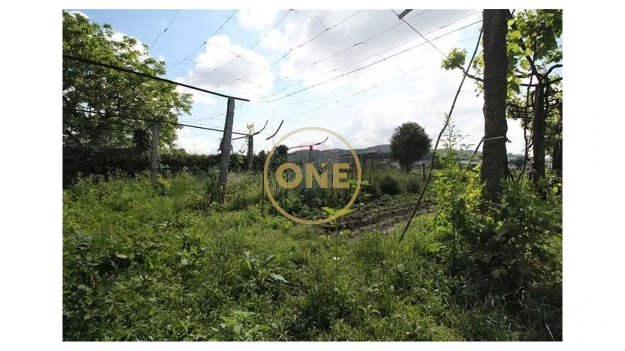 Moradia T6 para Venda em Ruivães e Novais Foto 13