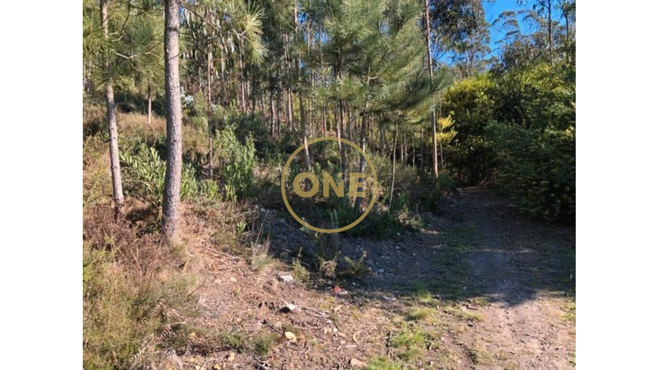 Terreno para Venda em Laundos Foto 1