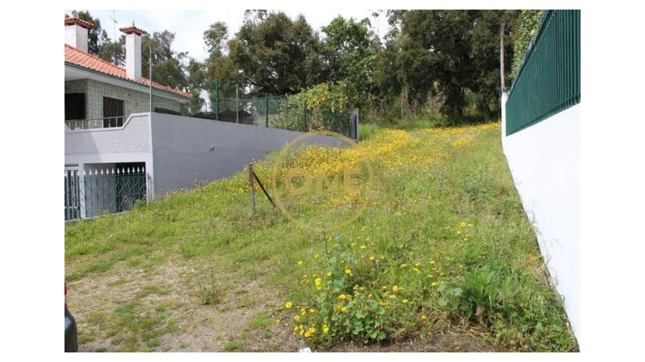 Terreno para Venda em Lemenhe, Mouquim e Jesufrei Foto 8