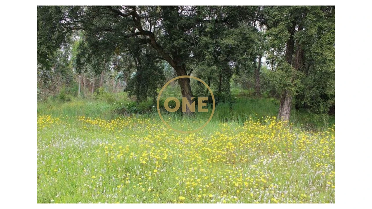 Terreno para Venda em Lemenhe, Mouquim e Jesufrei Foto 4