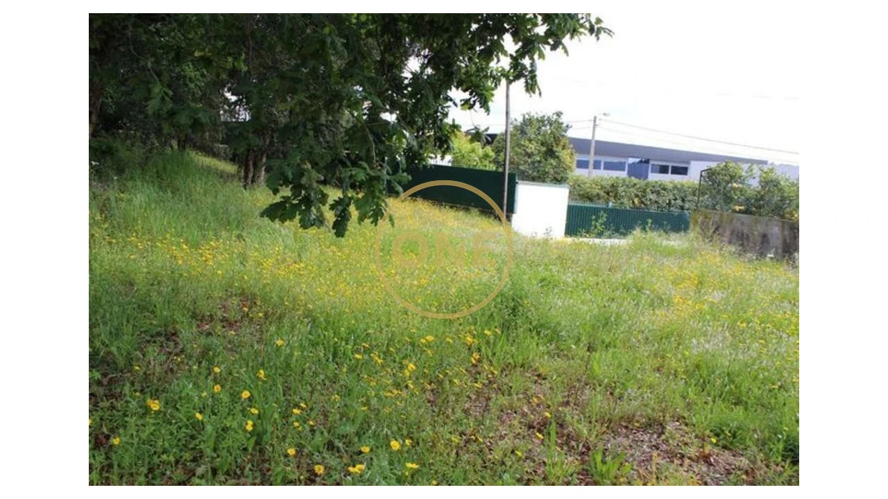 Terreno para Venda em Lemenhe, Mouquim e Jesufrei Foto 5