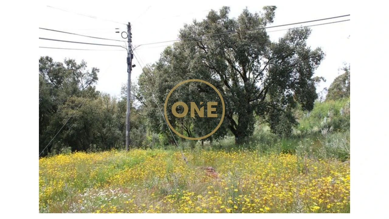 Terreno para Venda em Lemenhe, Mouquim e Jesufrei Foto 13