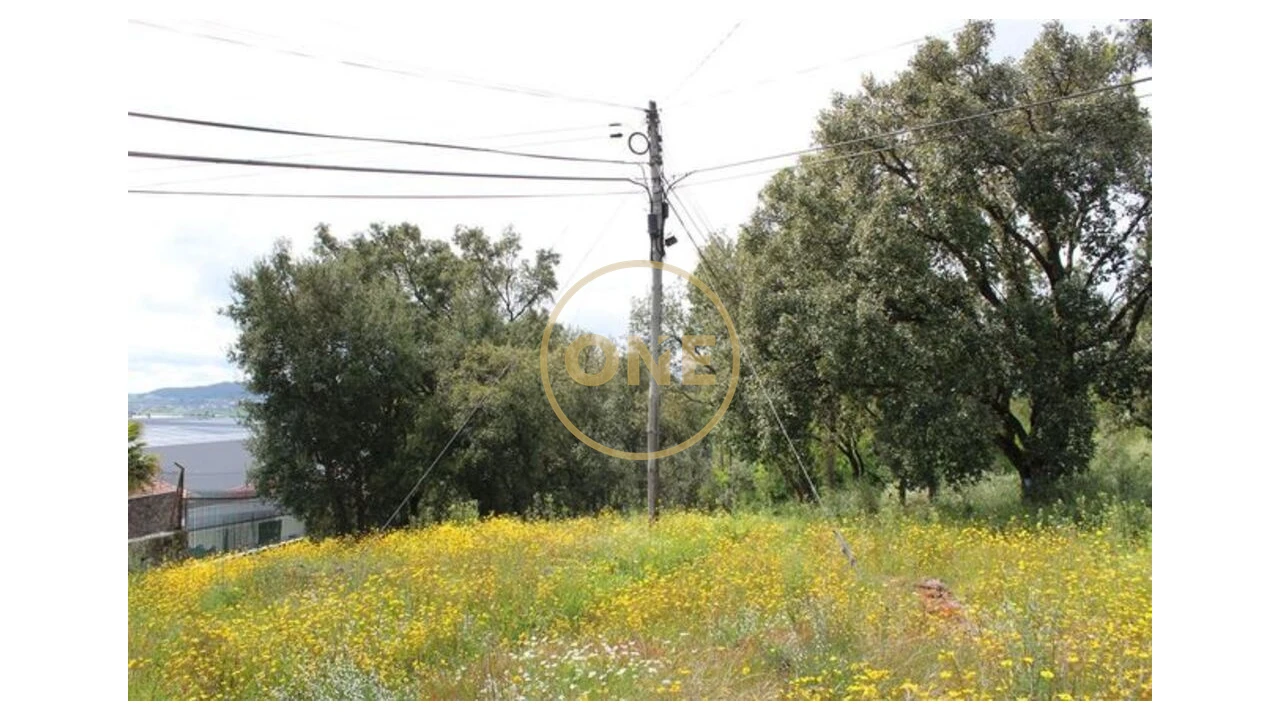 Terreno para Venda em Lemenhe, Mouquim e Jesufrei Foto 12
