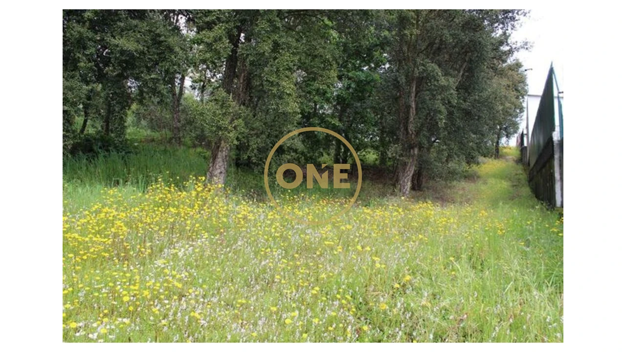 Terreno para Venda em Lemenhe, Mouquim e Jesufrei Foto 2