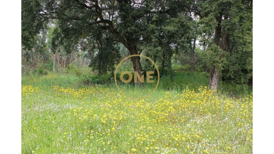 Terreno para Venda em Lemenhe, Mouquim e Jesufrei Foto 4