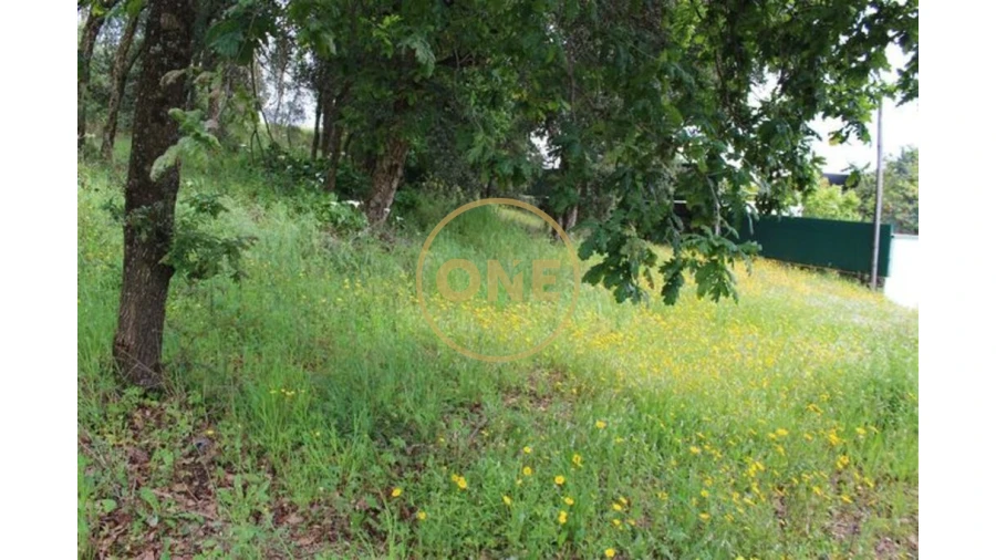 Terreno para Venda em Lemenhe, Mouquim e Jesufrei Foto 6