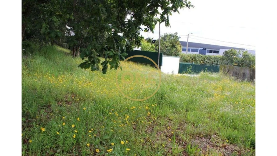 Terreno para Venda em Lemenhe, Mouquim e Jesufrei Foto 5