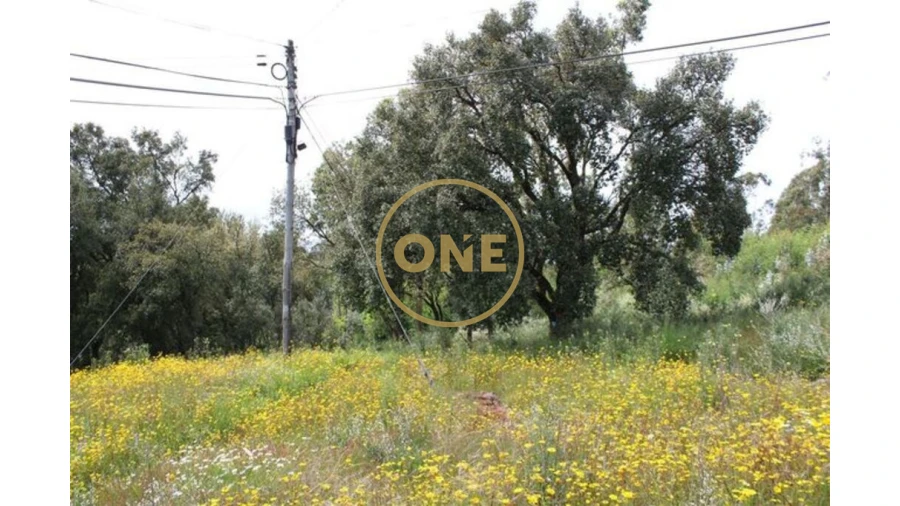 Terreno para Venda em Lemenhe, Mouquim e Jesufrei Foto 13