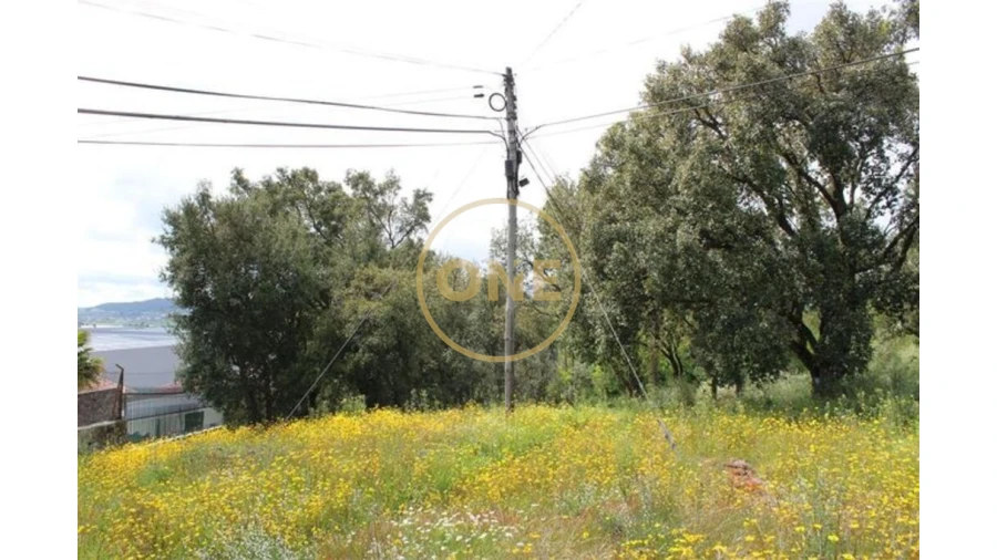 Terreno para Venda em Lemenhe, Mouquim e Jesufrei Foto 12