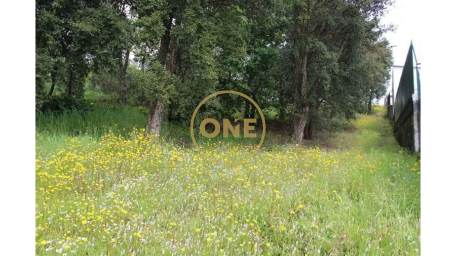 Terreno para Venda em Lemenhe, Mouquim e Jesufrei Foto 2