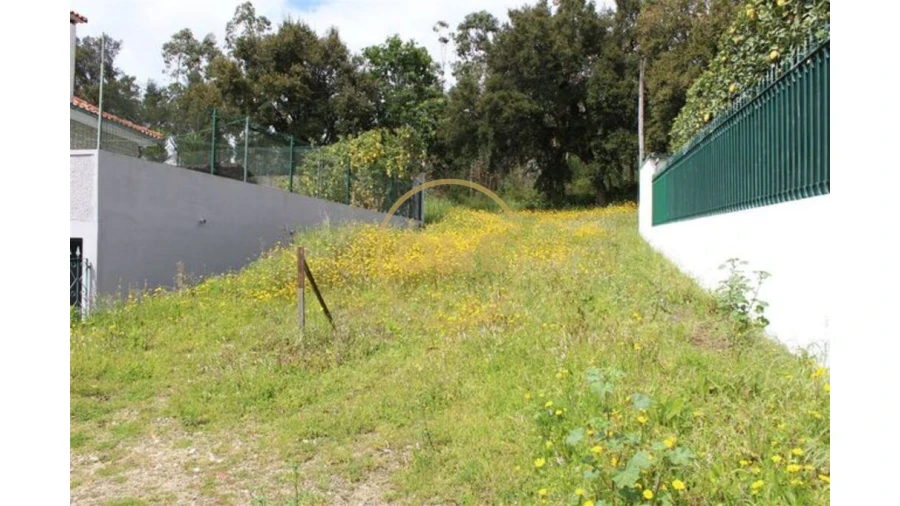 Terreno para Venda em Lemenhe, Mouquim e Jesufrei Foto 7