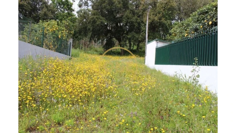 Terreno para Venda em Lemenhe, Mouquim e Jesufrei Foto 1