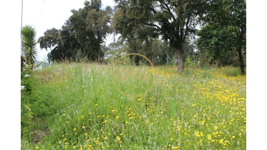 Terreno para Venda em Lemenhe, Mouquim e Jesufrei Foto 3