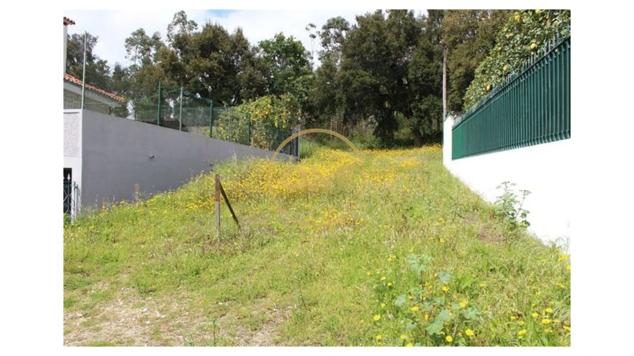 Terreno para Venda em Lemenhe, Mouquim e Jesufrei Foto 7