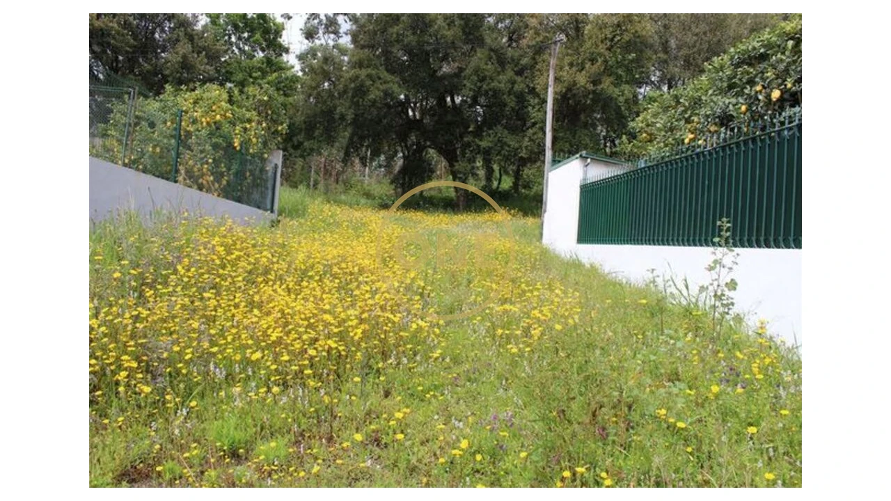 Terreno para Venda em Lemenhe, Mouquim e Jesufrei Foto 1