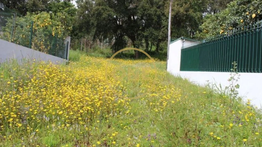 Terreno para Venda em Lemenhe, Mouquim e Jesufrei