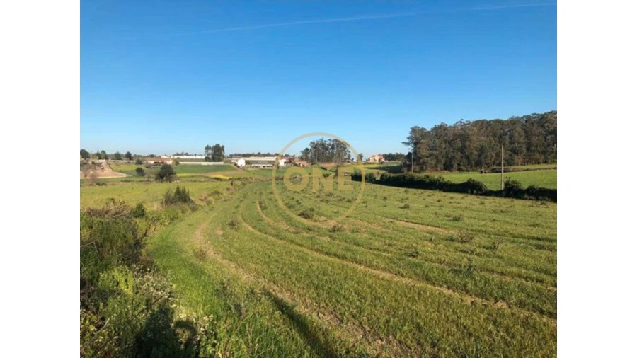 Terreno para Venda em Barqueiros Foto 7
