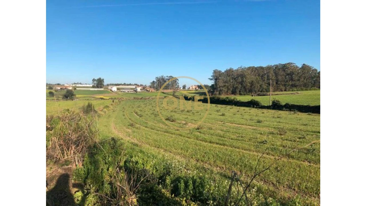 Terreno para Venda em Barqueiros Foto 3