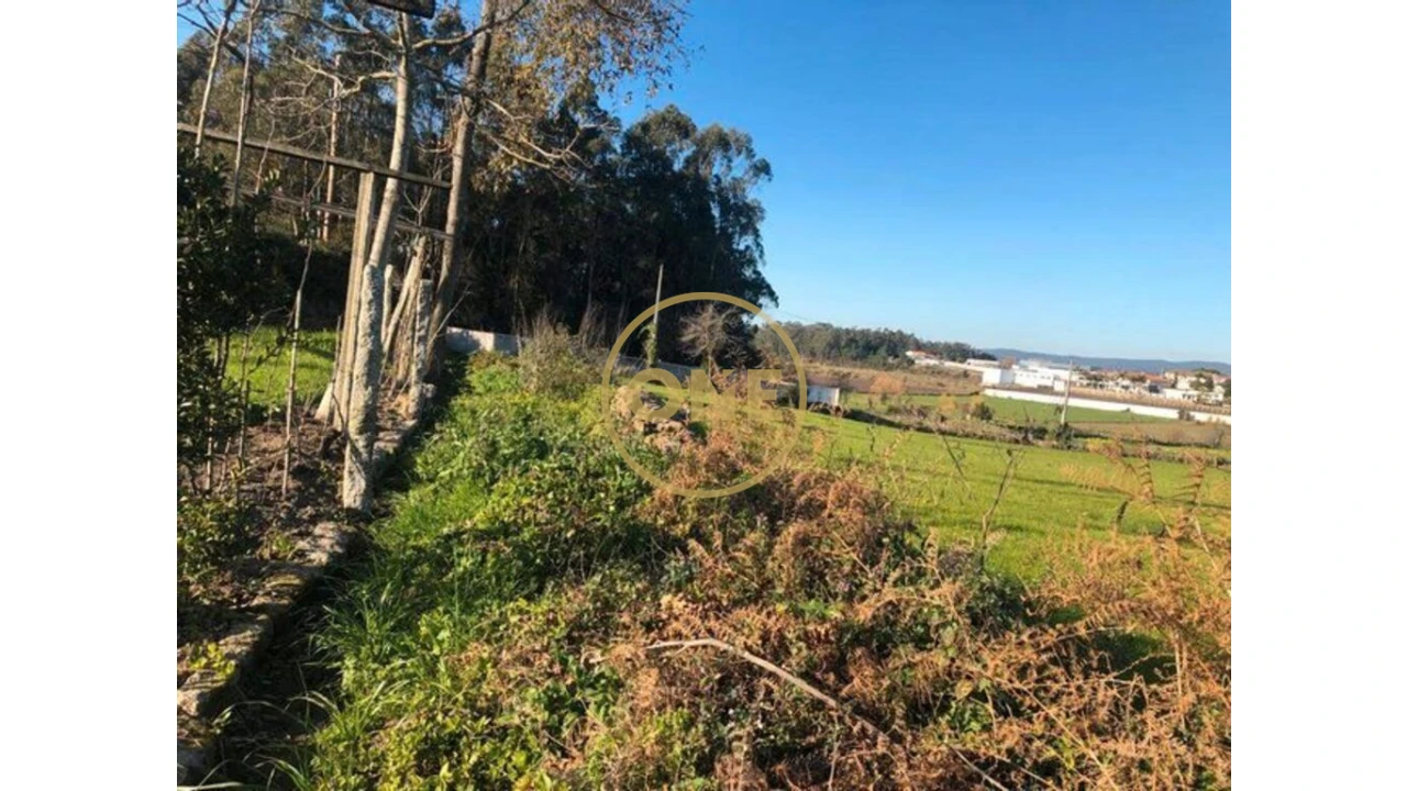 Terreno para Venda em Barqueiros Foto 4