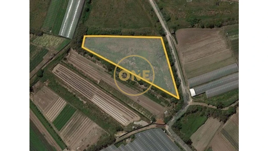 Terreno para Venda em Aguçadoura e Navais Foto 3