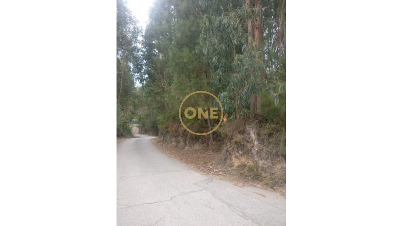 Terreno para Venda em Conde e Gandarela Foto 2