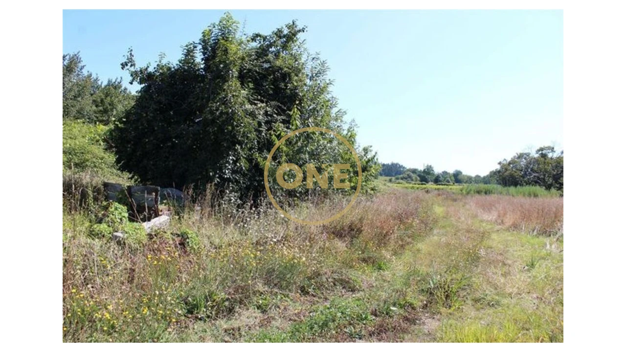 Terreno para Venda em Landim Foto 3