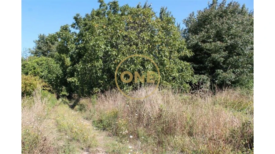 Terreno para Venda em Landim Foto 2